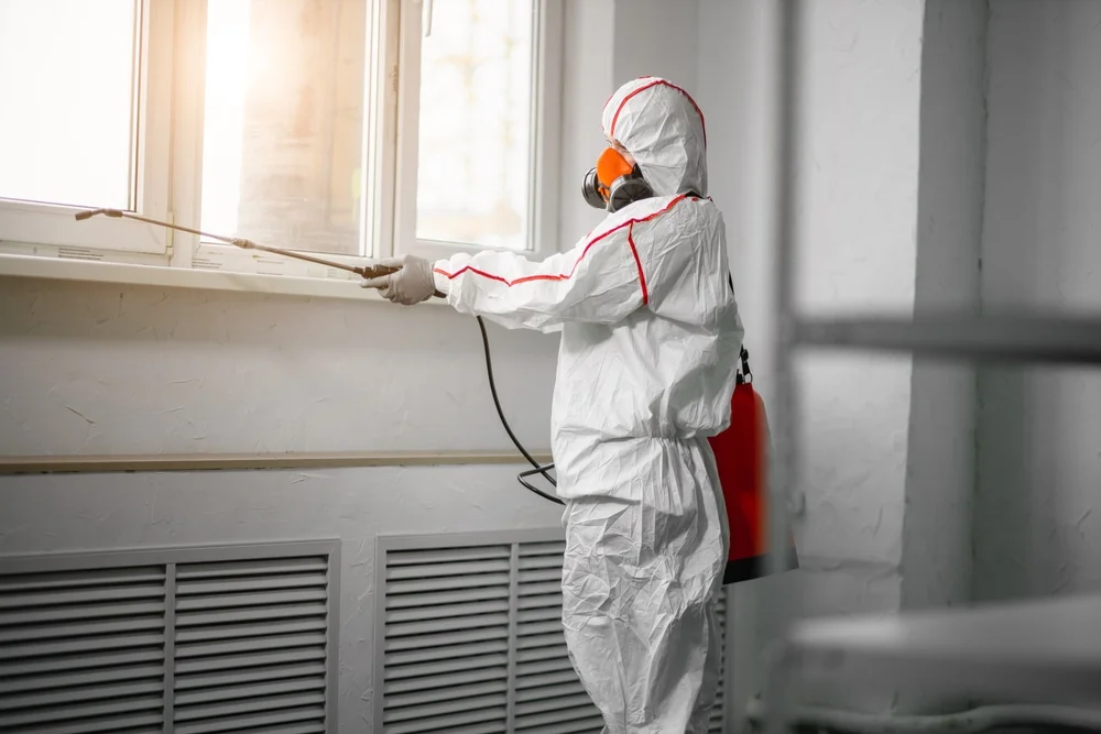 Professional mold remediation services in Dunlap, CA